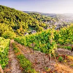 Weinberg-schloesschen 3*