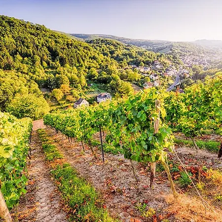 Weinberg-schloesschen 3*