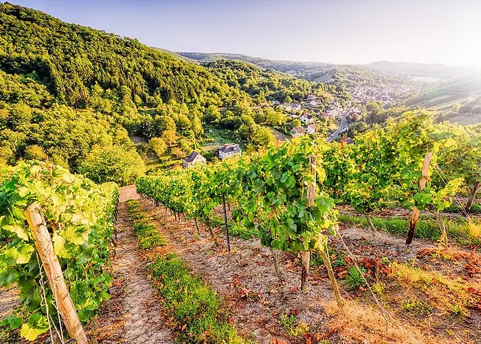 Weinberg-schloesschen 3*