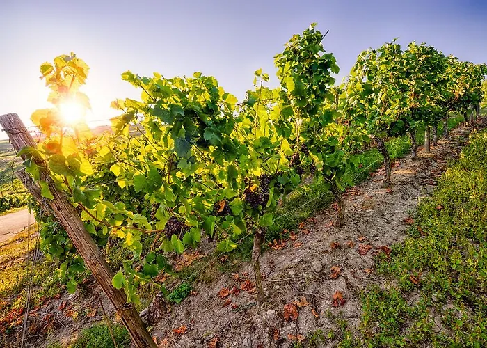 Weinberg-schloesschen Hotel